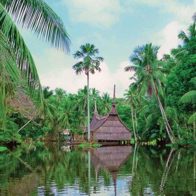 Jungle Retreat