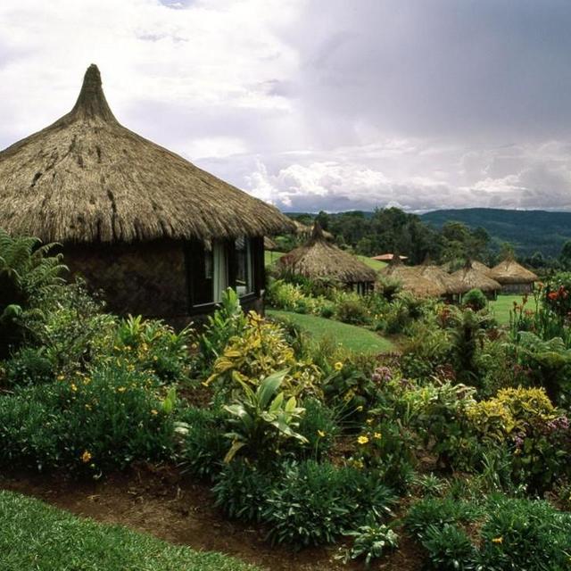 Trek Accomodation