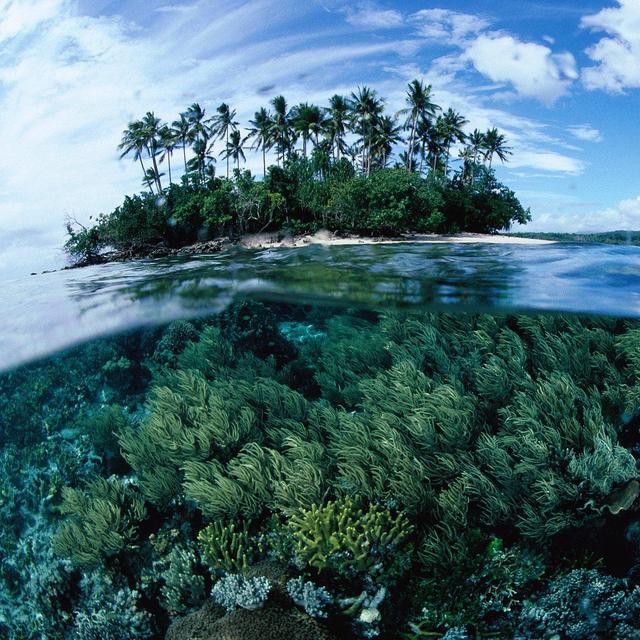 Snorkeling Tour of Raypswara Bay