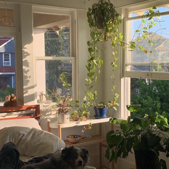 home sweet home fund