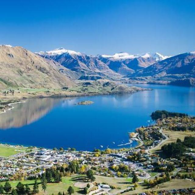 Dinners in Wanaka, NZ