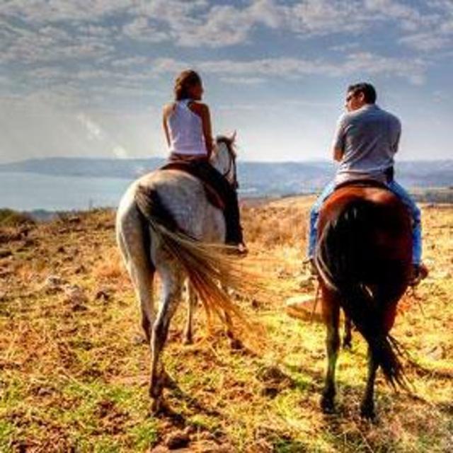 Horseback Riding
