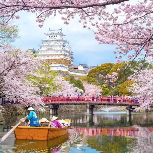 Japan Honeymoon Fund