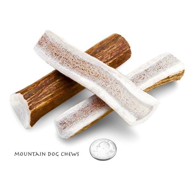 Elk Antler Split Dog Chew, Large