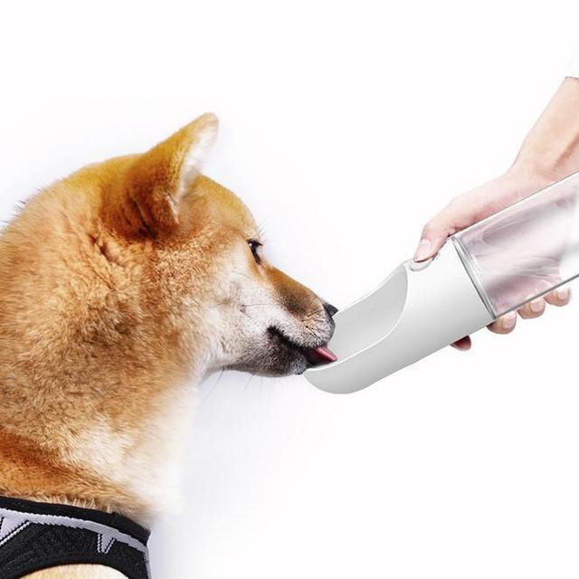 Water Bottle For Walking Dog