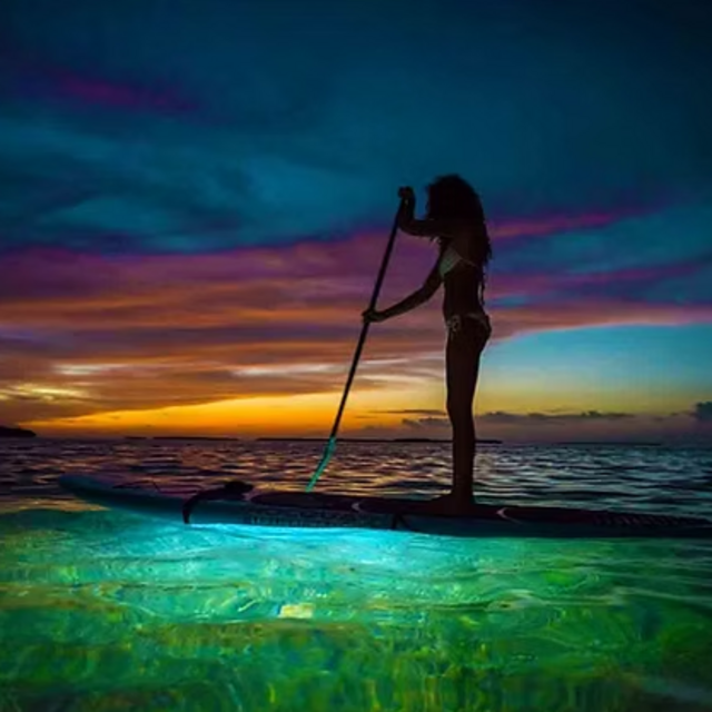 Nightlife Reef Tour