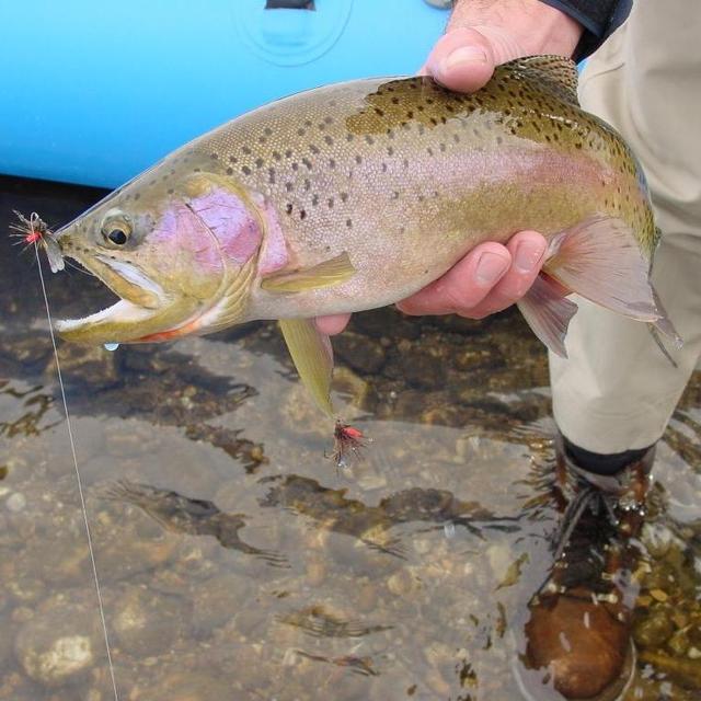Honeymoon  -Guided Fly Fishing and scenic river float trip