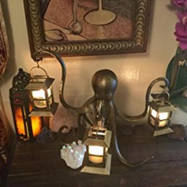 Anecdotal Aardvark Octopus Lantern