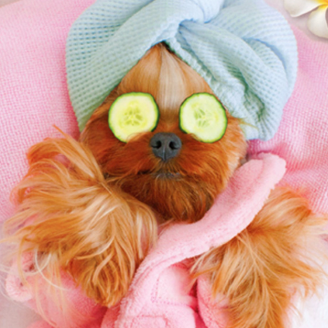 Spa Dayyyyyyy