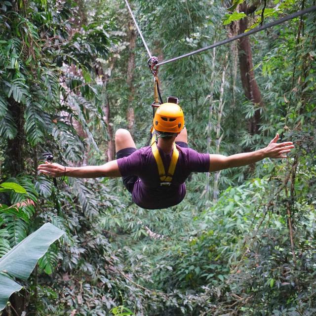 Jungle Ziplining!