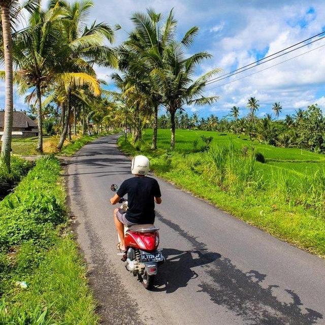 Scooter Adventures!