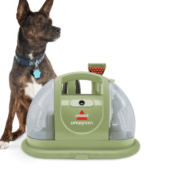 Little Green® Portable Carpet Cleaner