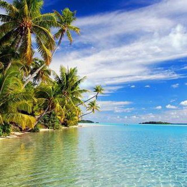Honeymoon Trip