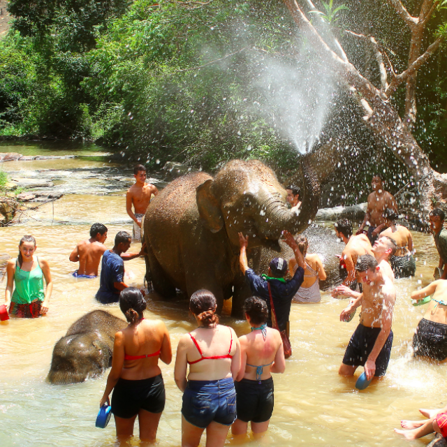A Day At The Elephant Sanctuary