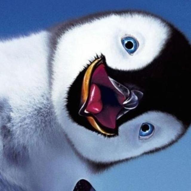 SELFIE WITH THE PENGUIN: camera & high end selfie stick