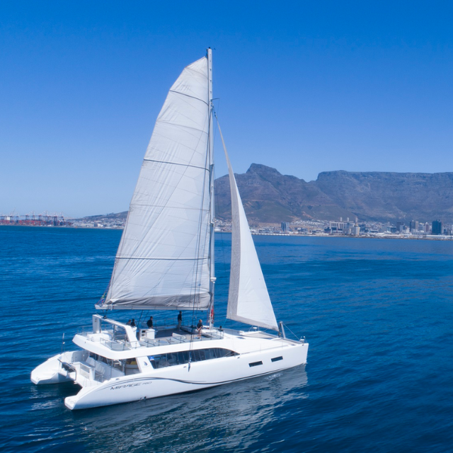 Cape Town Catamaran Cruise