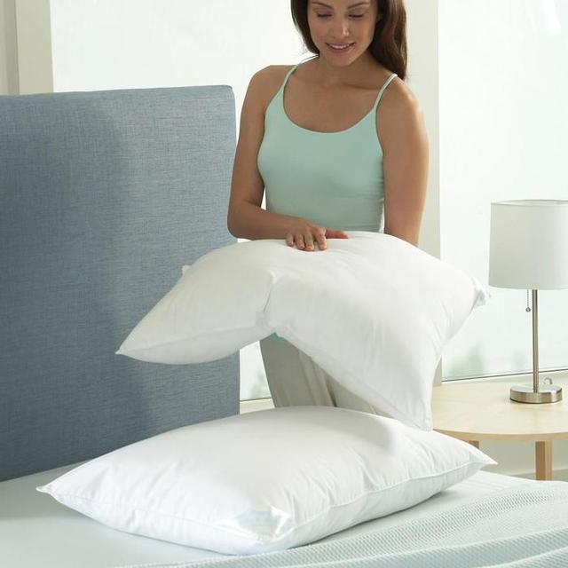 SAVE Better Than Down® Standard Pillows, Set of 2
