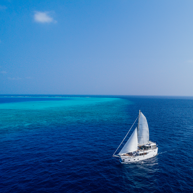 Boat Excursion in Maldvies