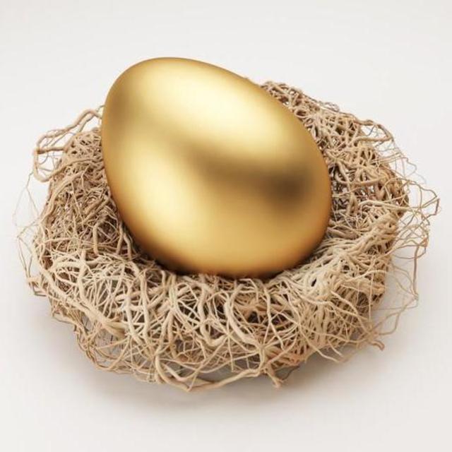 Nest Egg