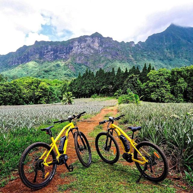 Electric Bike Rental in Moorea