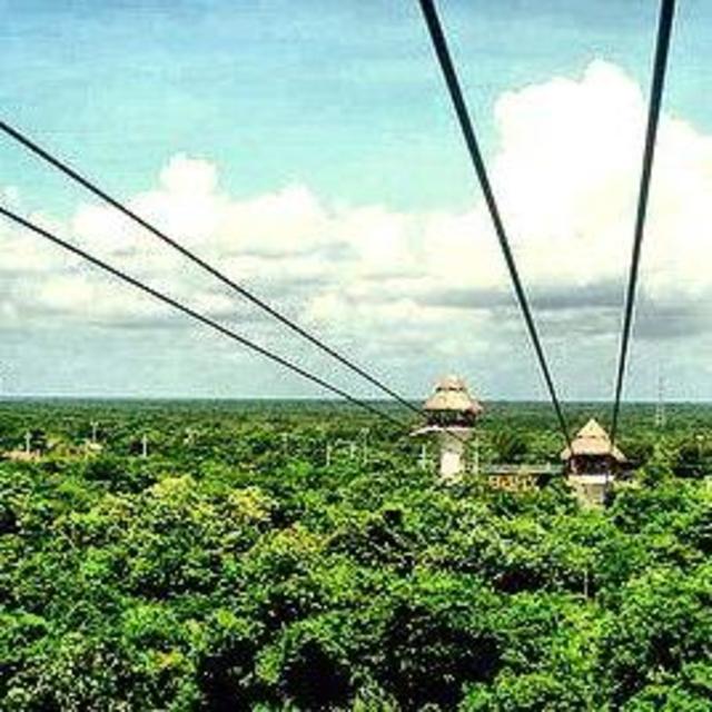 Honeymoon Adventure!