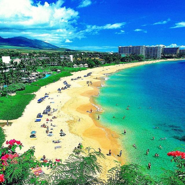 Honeymoon Fund - Maui!