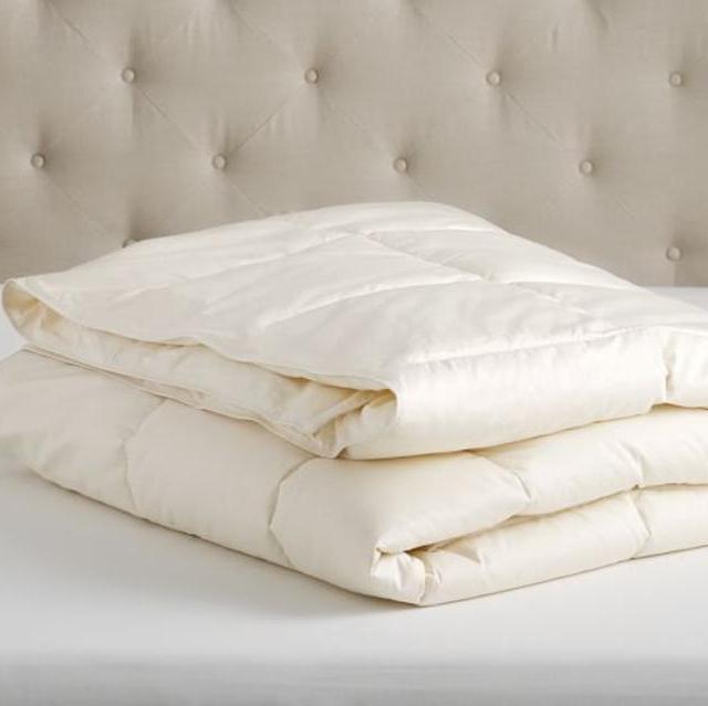 Natural Down-Alternative Duvet Insert, Classic