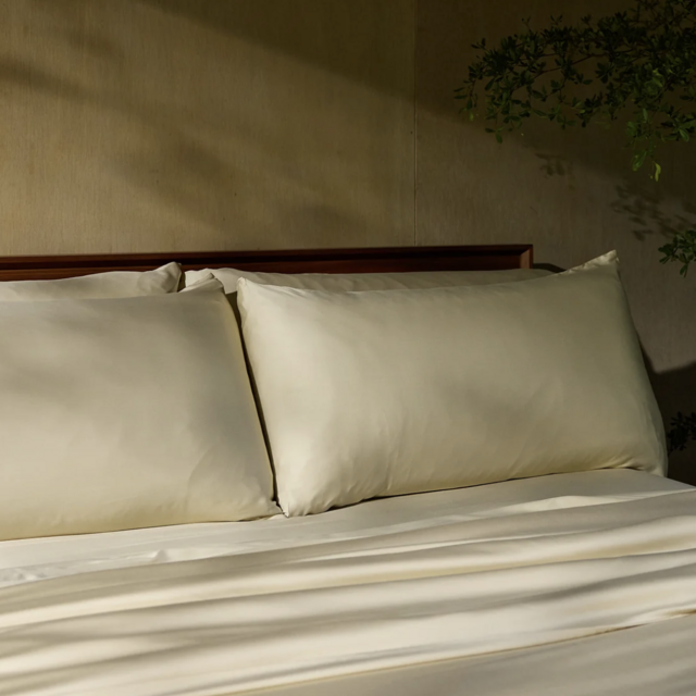 Cozy Earth - Bamboo Sheet Set