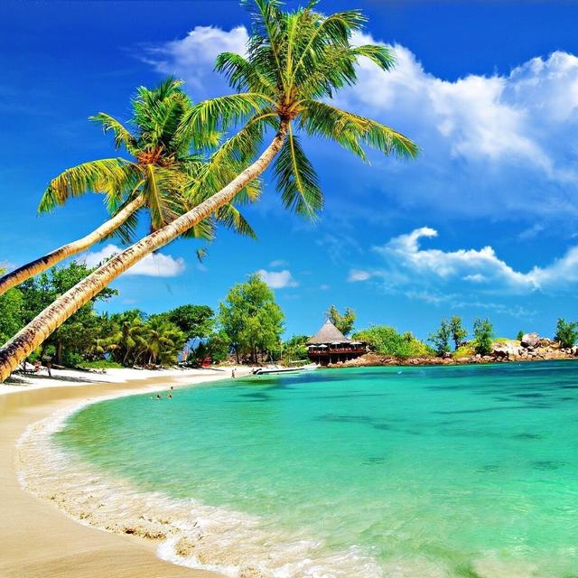 Honeymoon Paradise in Punta Cana