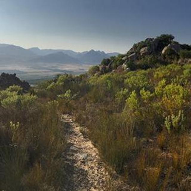 Large print on metal of "Path" photo from South Africa