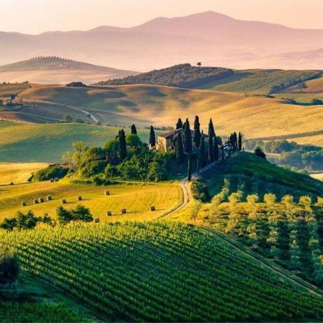 Tuscany Wine Tasting