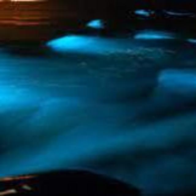 Luminous Lagoon Experience