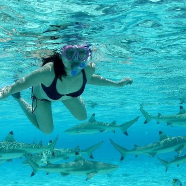 Bora Bora Jet Ski Tour & Shark / Ray Snorkel Cruise