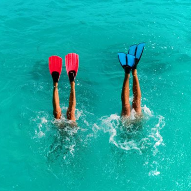 Snorkeling or Diving at the Great Barrier Reef (Port Douglas)