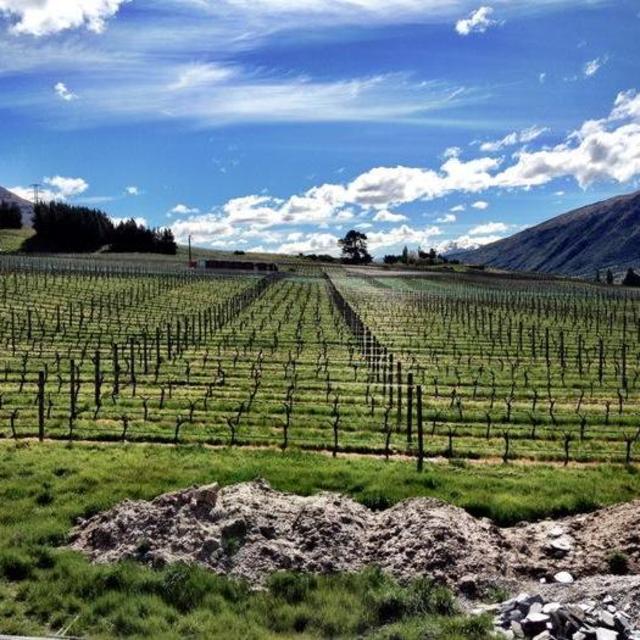 Boutique Wine Tour of Otago Wine Region (New Zealand)