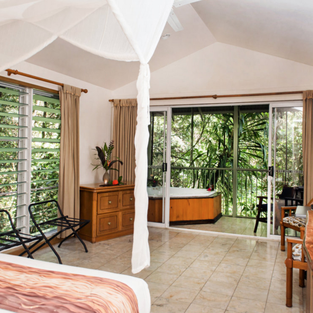 Amazing Stay at the Daintree EcoLodge (Daintree Rainforest)