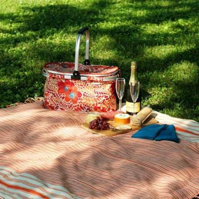 Picnic Lunch in the Park