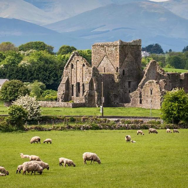 Honeymoon in Ireland