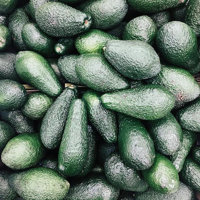 Lifetime Supply of Avocados