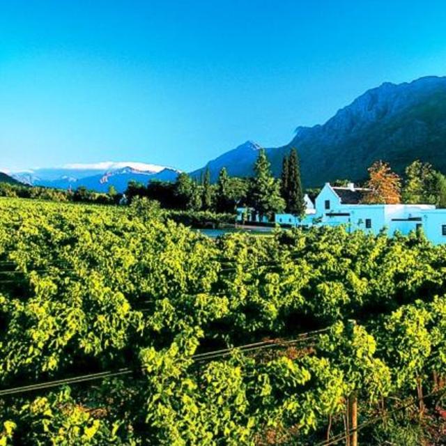 Day tour of the Cape Town winelands
