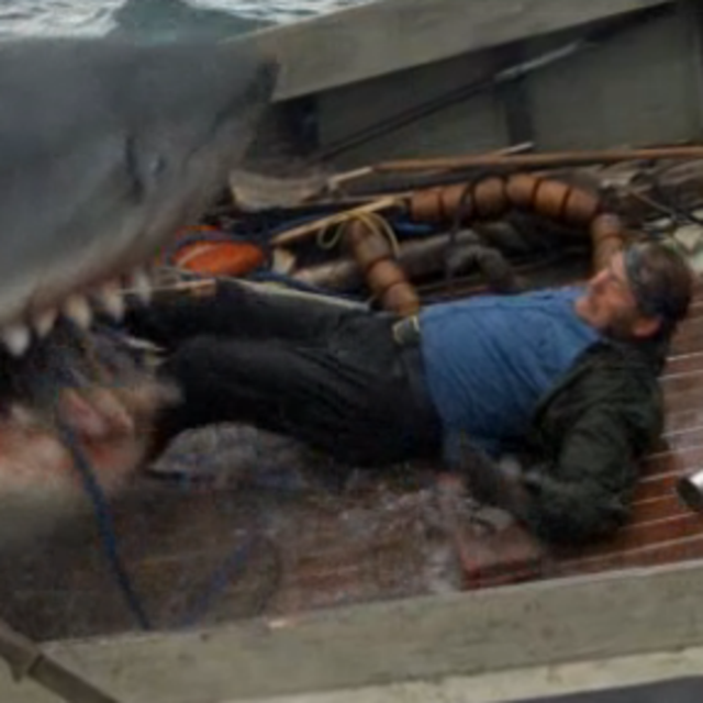 Great White Shark Cage Diving