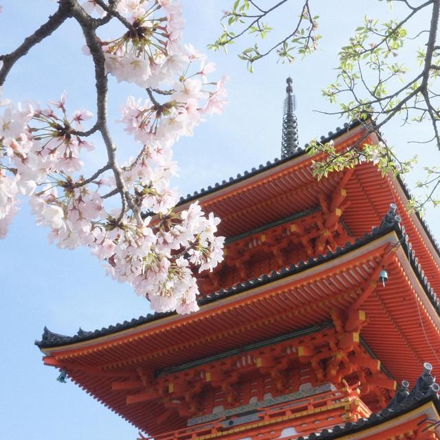 Japan Honeymoon Fund!