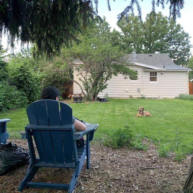 Backyard Renovations