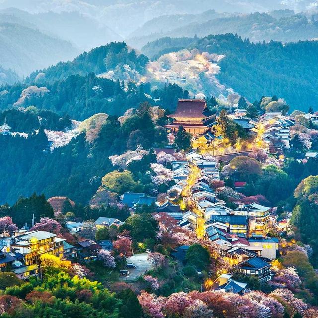 Honeymoon Fund - Japan (or Italy?!) 2024
