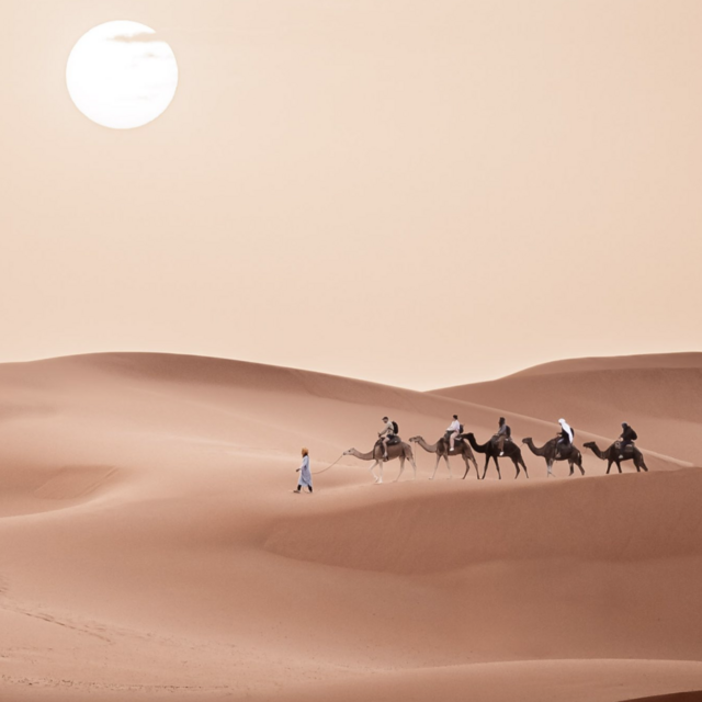Sahara Camel Trek