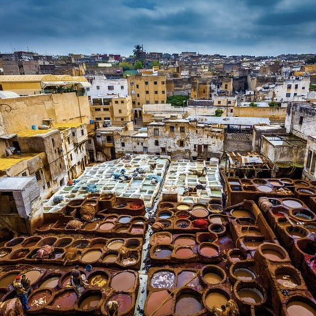 Cultural Tour in Fes