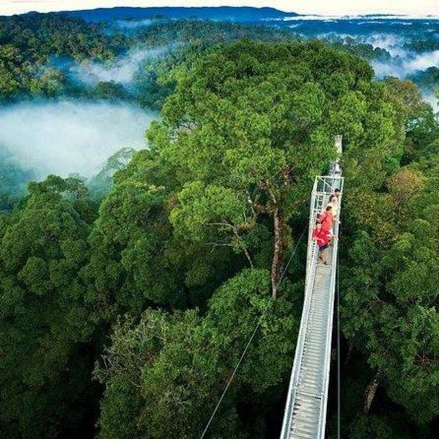 Monte Verde Cloud Forest Excursion