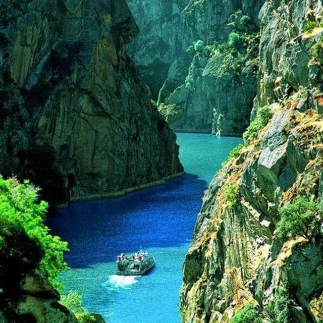 Adventures on the Trip