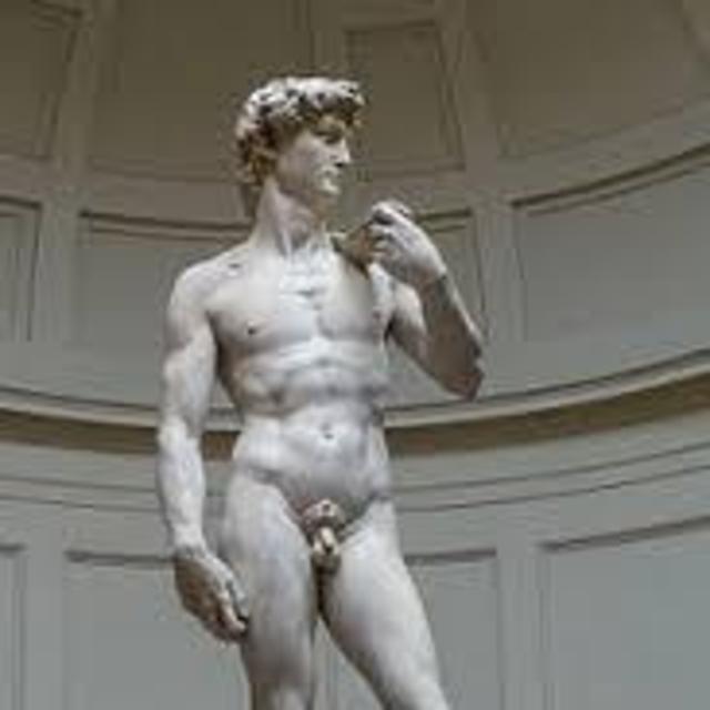 Michelangelo's David & Florence