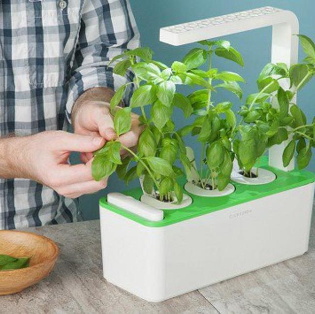 Click & Grow - Smart Herb Garden Starter Kit